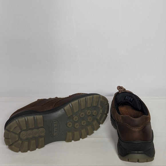NEW Ecco ECCO Mens Track 25 Low Gore-tex Waterproof Hiking Shoe Sz 7/7.5 41 brow
